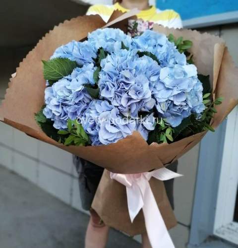 Букет гортензий  «Niko Blue»  