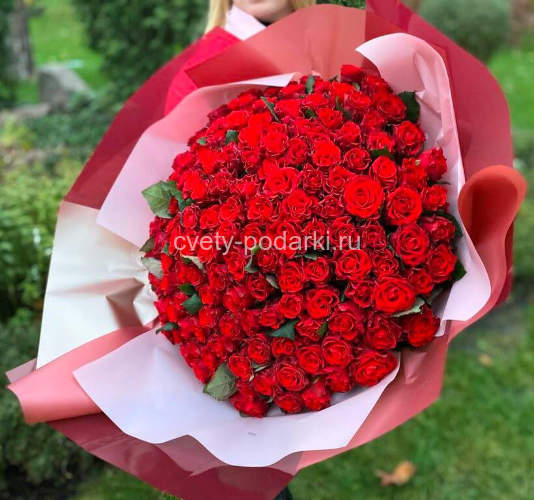 Букет из 151 розы Эль Торо  